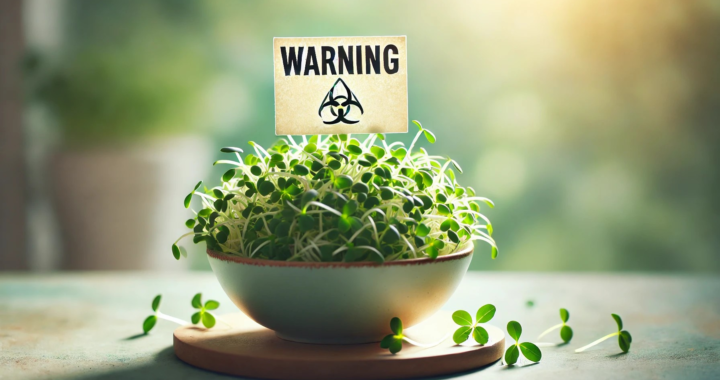 “5 Breathtaking Risks of Alfalfa Sprouts You Need to Know”